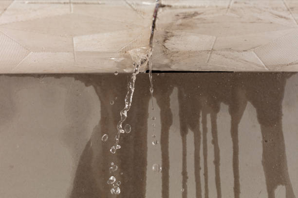 Professional Water Damage Repair technician working in Sugar Land, TX